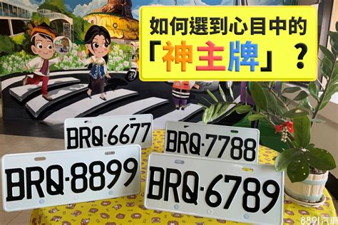 屬狗車牌|屬狗選車牌號碼，吉祥數字有哪些適合？